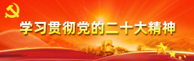 學(xue)習貫(guan)徹黨的(de)二十(shi)大精神